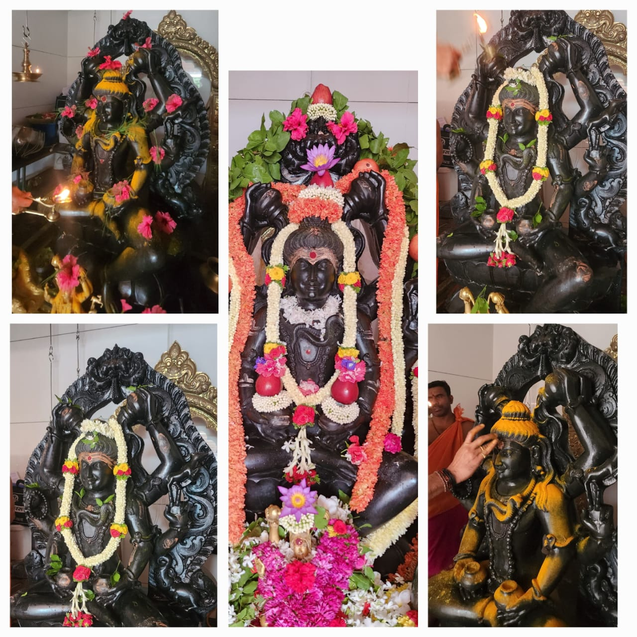 Divine deities of Shri Maha Mrityunjaya Swamy Temple